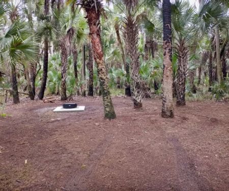 Turkey Roost Campsite