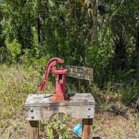 Tiger Branch Camp ico