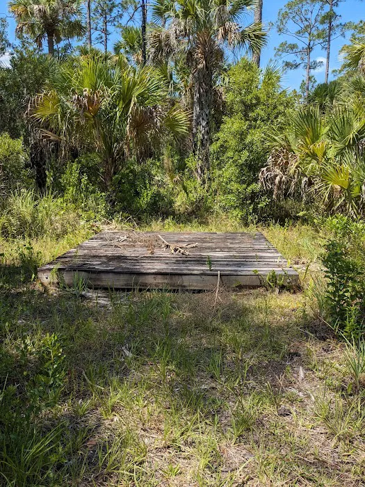 Tiger Branch Camp Picture 2