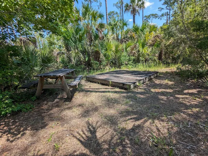 Tiger Branch Camp Picture 7