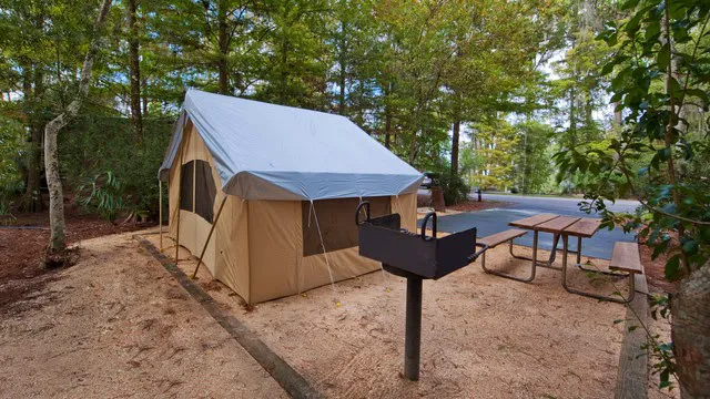 The Campsites at Disney's Fort Wilderness Resort Picture 7