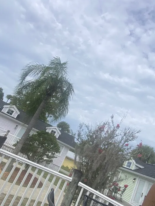 Tropical Palms Resort Picture 1