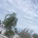 Tropical Palms Resort