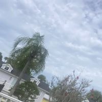 Tropical Palms Resort ico