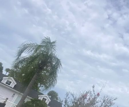 Tropical Palms Resort