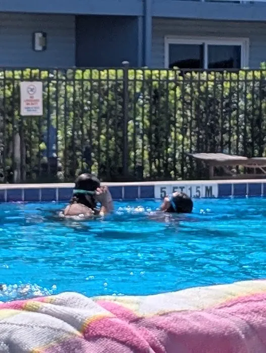 Tropical Palms Resort Picture 3