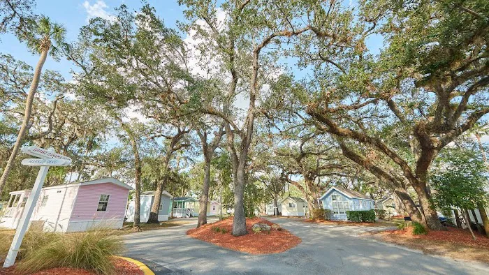 Encore Tropical Palms Picture 5