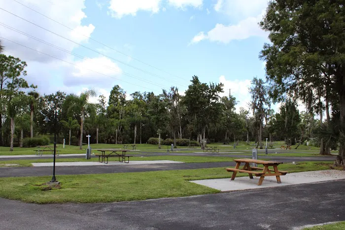 Encore Tropical Palms Picture 9