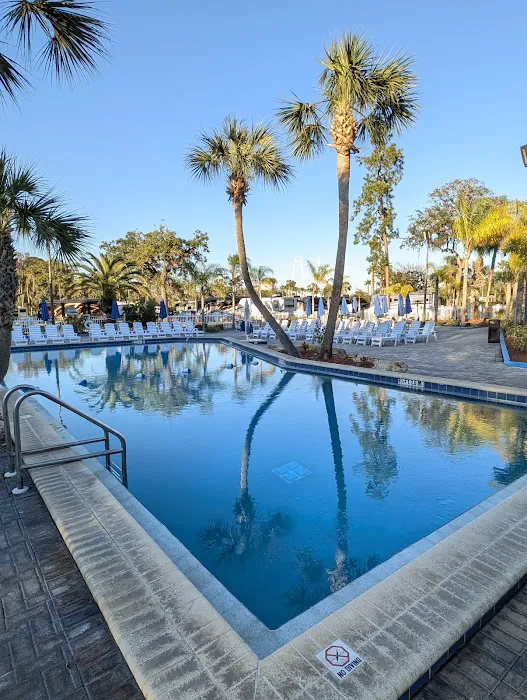 Encore Tropical Palms Picture 7