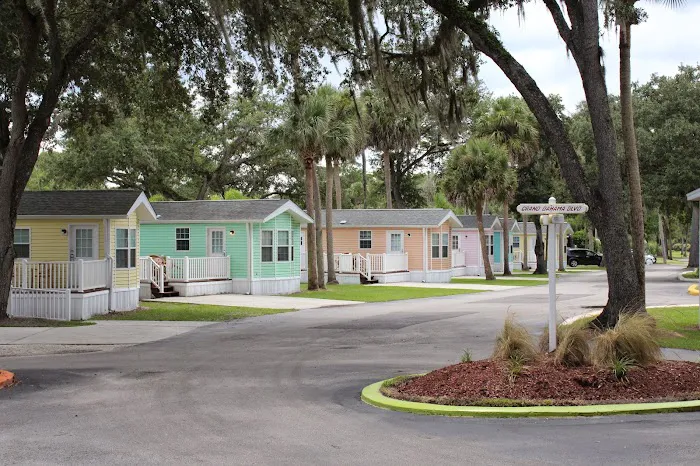 Encore Tropical Palms Picture 6