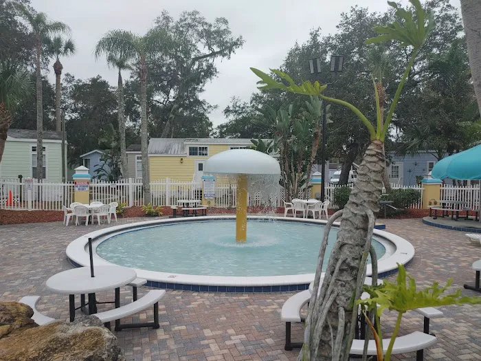 Encore Tropical Palms Picture 3