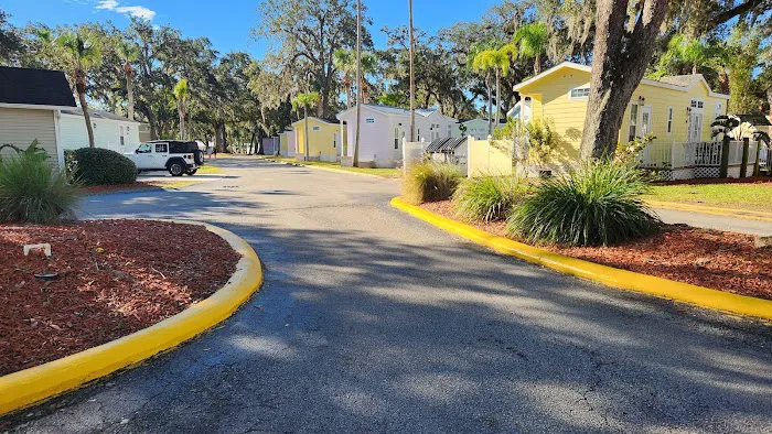 Encore Tropical Palms Picture 4