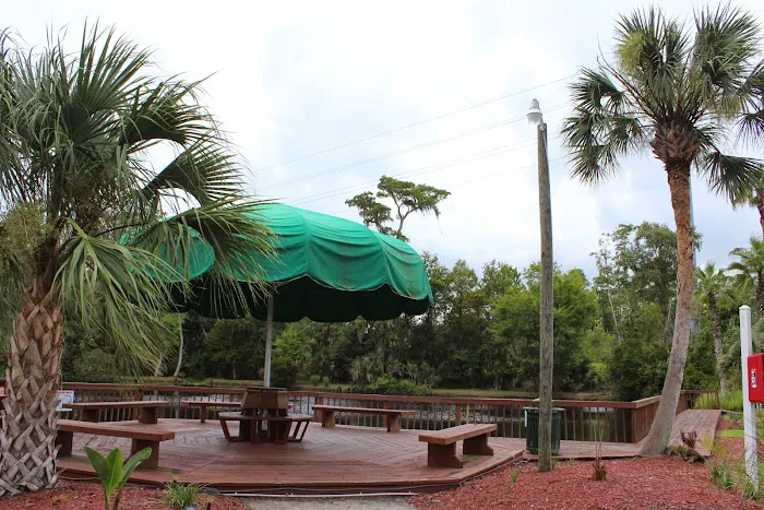 Encore Tropical Palms Picture 8