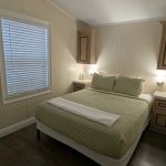 Encore Tropical Palms