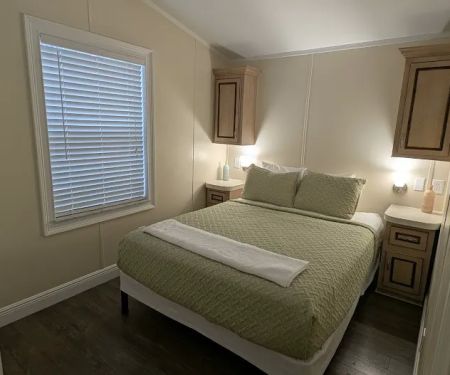 Encore Tropical Palms