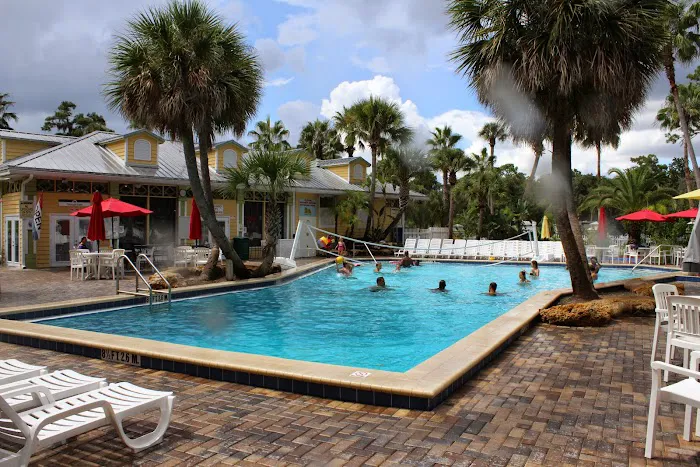 Encore Tropical Palms Picture 2