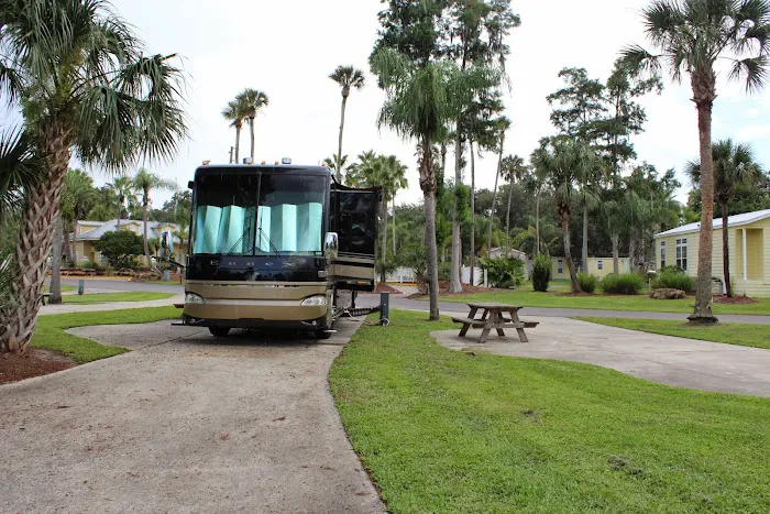 Encore Tropical Palms Picture 10