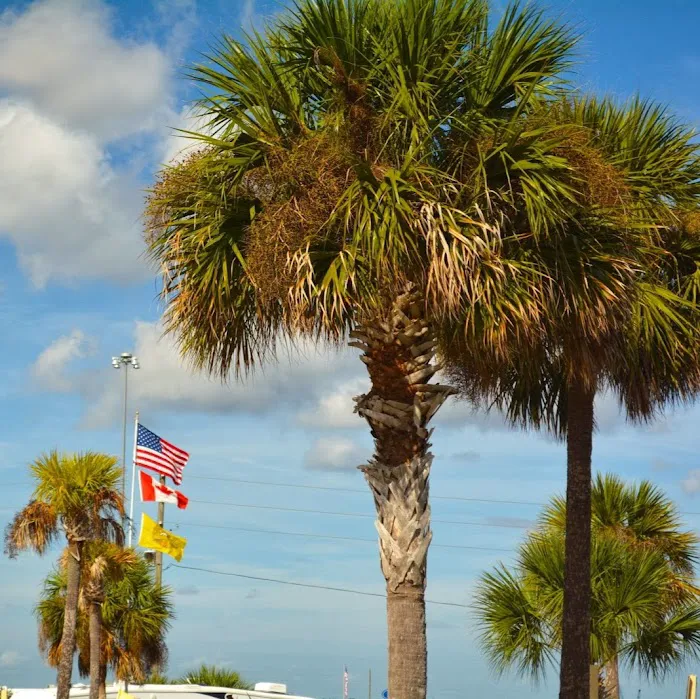 Orlando Southwest KOA Holiday Picture 7