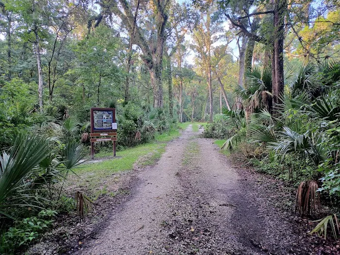 SWFWMD McNeil Group Campground Picture 4