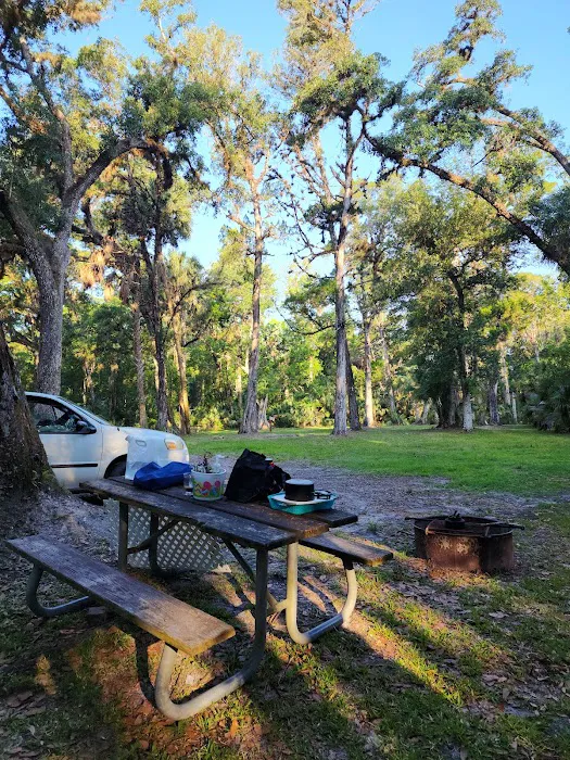 SWFWMD McNeil Group Campground Picture 5