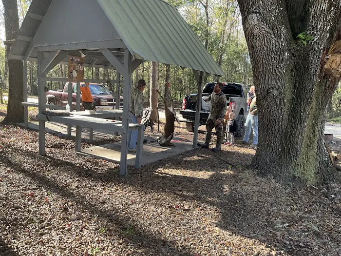 SWFWMD McNeil Group Campground Picture 3