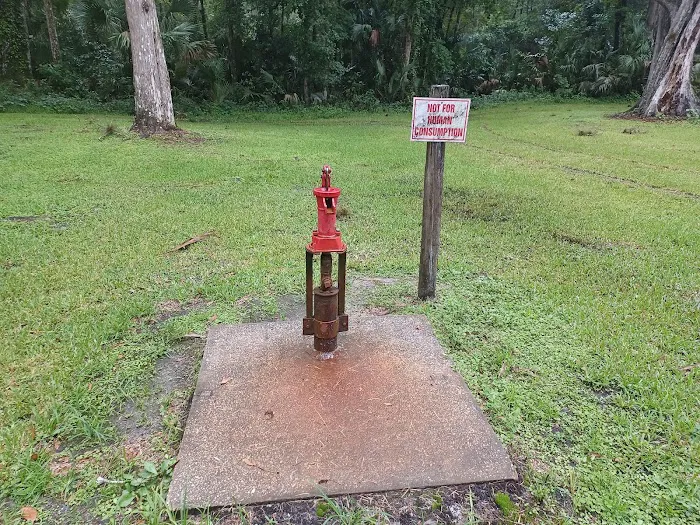 SWFWMD McNeil Group Campground Picture 1