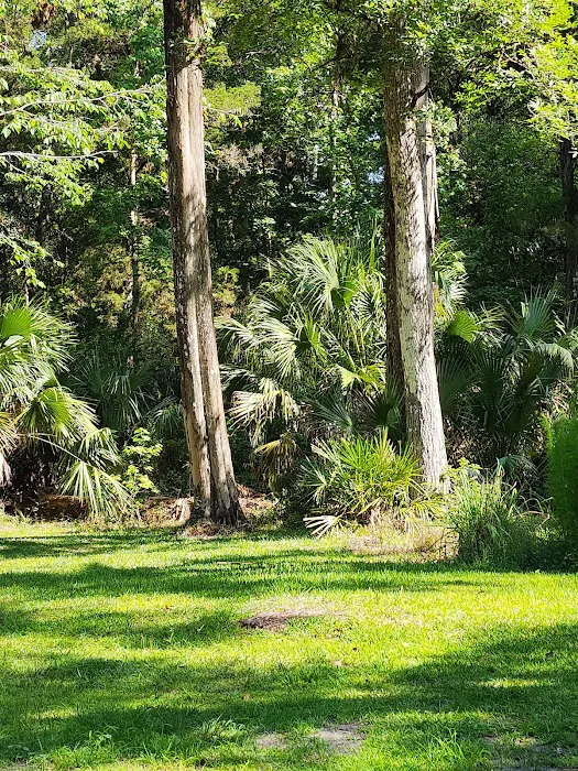 SWFWMD McNeil Group Campground Picture 9