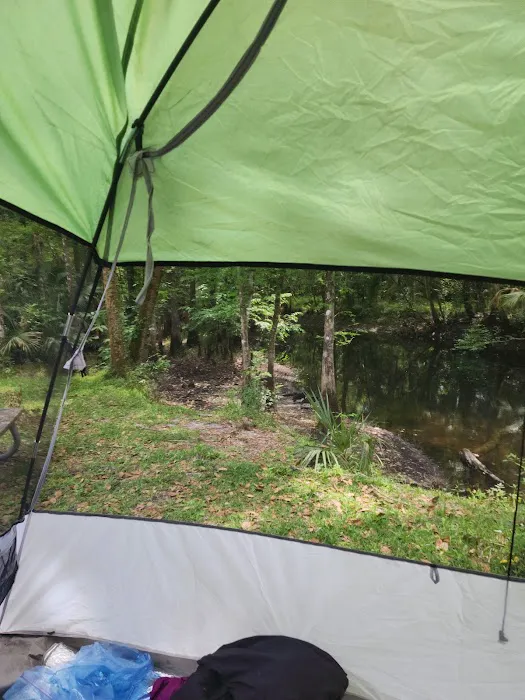 SWFWMD McNeil Group Campground Picture 7