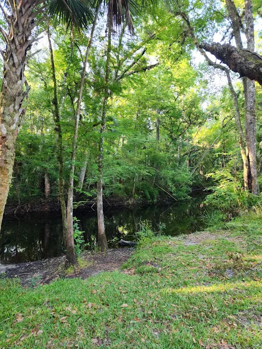 SWFWMD McNeil Group Campground Picture 10