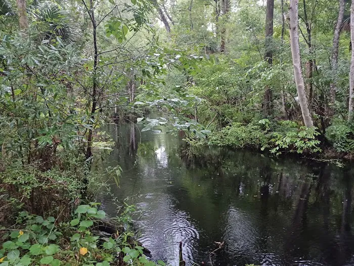 SWFWMD McNeil Group Campground Picture 2