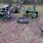 SWFWMD Trial Ford Camp