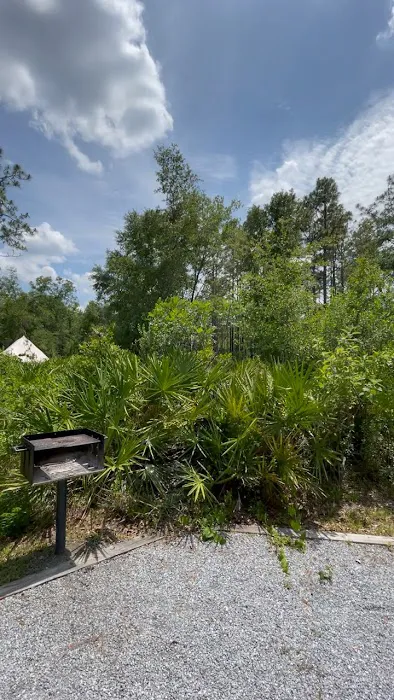 Colt Creek State Park Campground Picture 8