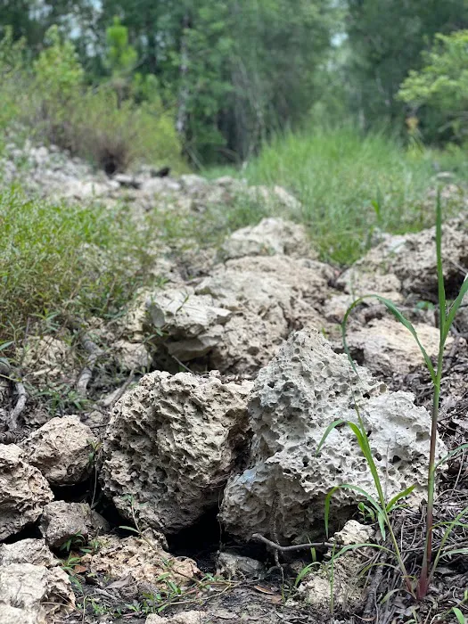 Colt Creek State Park Campground Picture 6