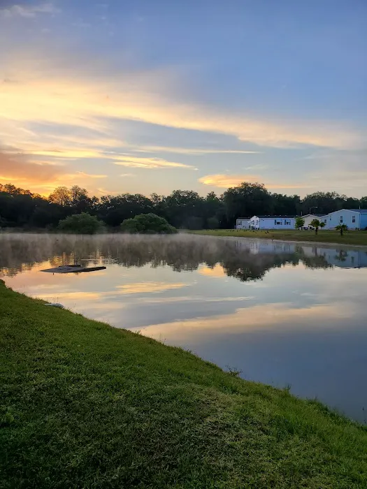 Forest Lake Village Picture 5