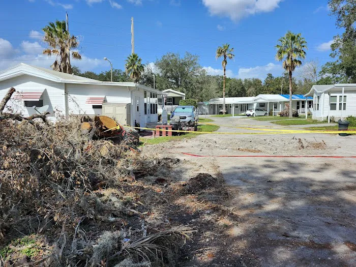 Forest Lake Village Picture 6