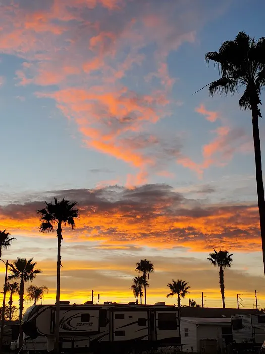 Forest Lake Village Picture 2