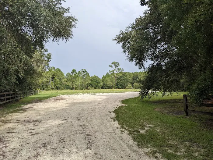 Hampton Campground Picture 1