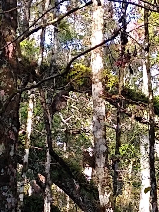 Hampton Campground Picture 2