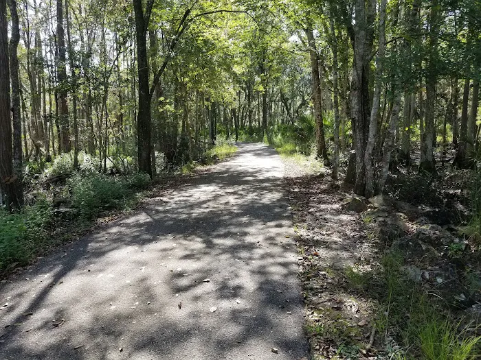 Back Country Campsite #2 Picture 5