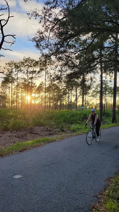 Back Country Campsite #2 Picture 6