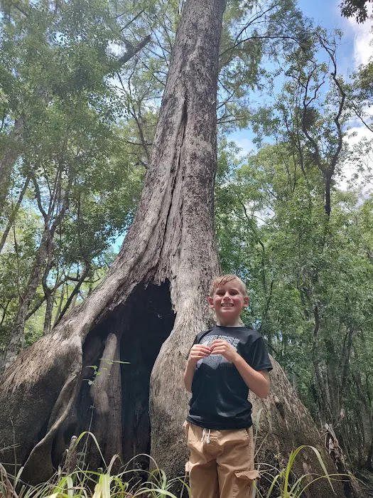 Back Country Campsite #2 Picture 10