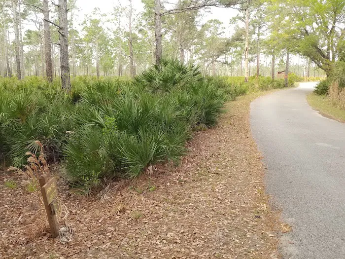 Back Country Campsite #2 Picture 3