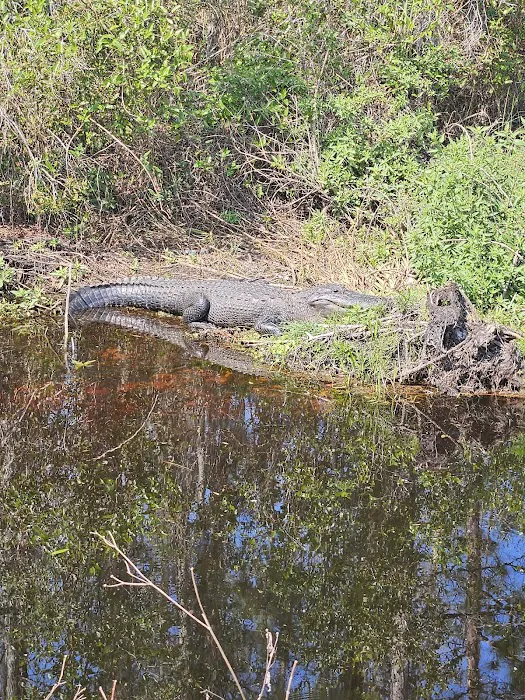 Back Country Campsite #2 Picture 8