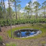 Back Country Campsite #3