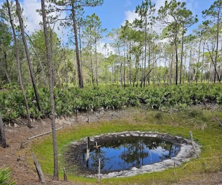 Back Country Campsite #3