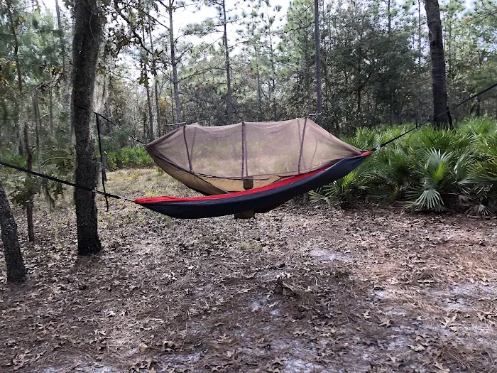 Back Country Campsite #3 Picture 4