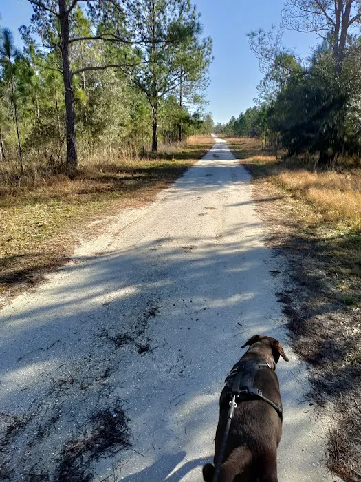 Cypress Creek Preserve Picture 9