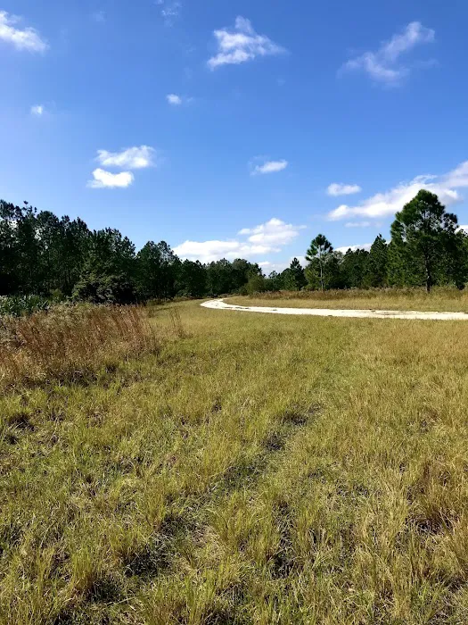 Cypress Creek Preserve Picture 7