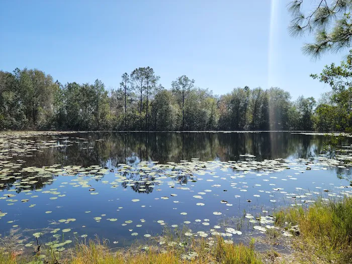 Cypress Creek Preserve Picture 1