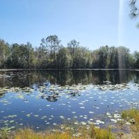 Cypress Creek Preserve ico